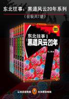 东北往事:黑道风云20年系列(共7册)封面