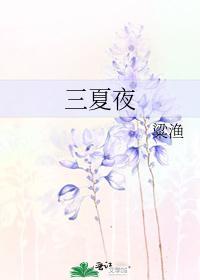 三夏夜封面