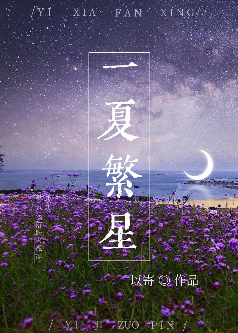 一夏繁星封面