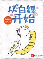 从白鲤开始封面