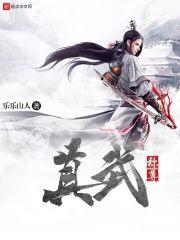 真武称尊封面