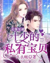名媛恨嫁：叶少的私有宝贝封面