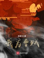 我为曹贼封面