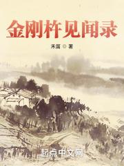 金刚杵见闻录封面