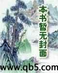 大明江湖封面