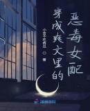 穿成爽文里的恶毒女配封面