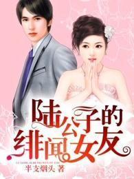 陆公子的绯闻女友封面