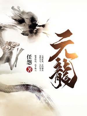 元龙封面