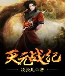 天元战纪封面