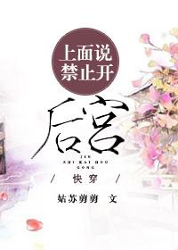 上面说禁止开后宫[快穿]封面