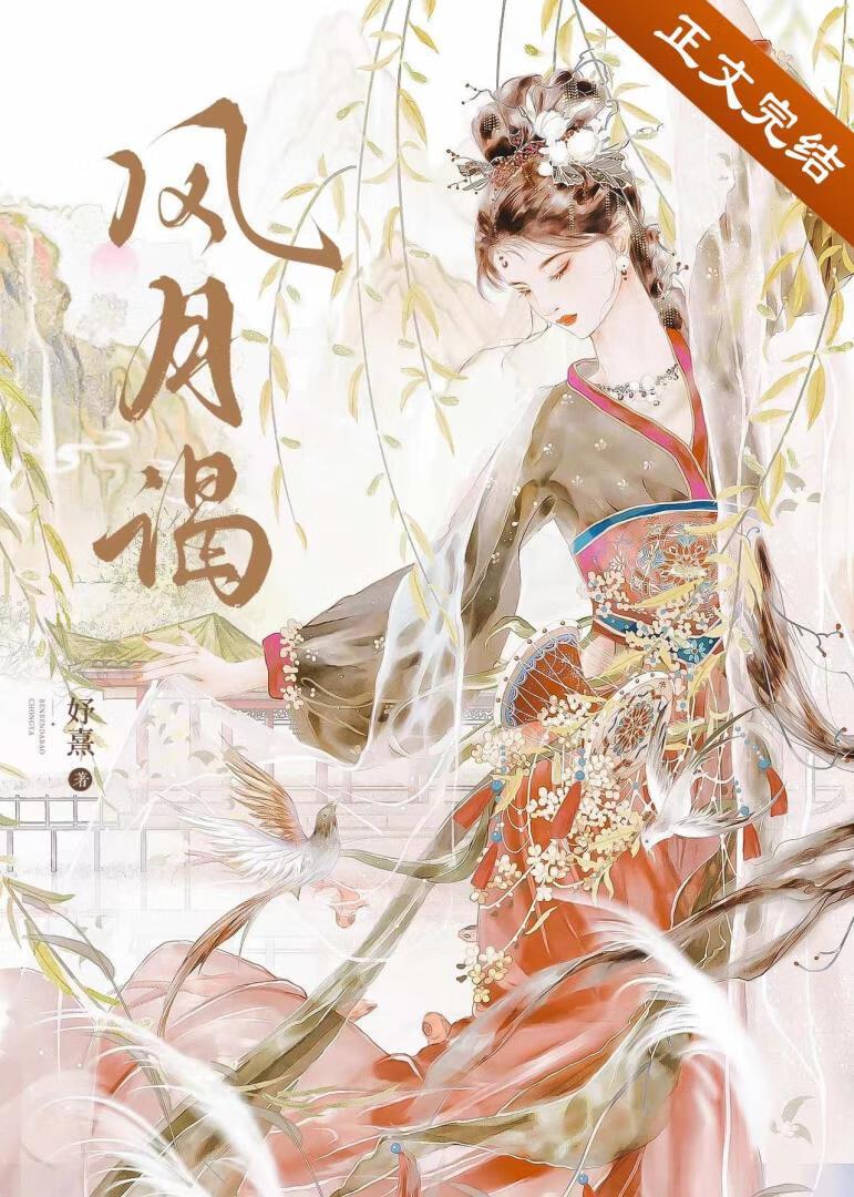 风月谒封面
