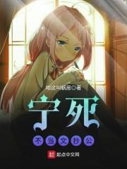 宁死不当文抄公封面