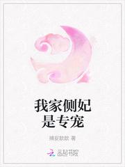 我家侧妃是专宠封面