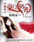 乱臣封面