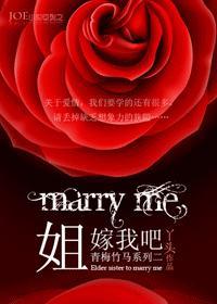 姐，嫁我吧！封面