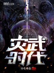 灾武时代封面
