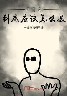 三国之到底应该怎么选封面