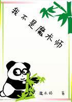 我不是魔术师封面