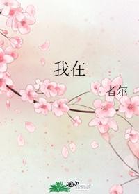 我在缅北的那些年封面