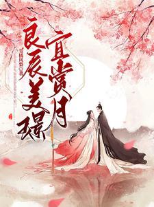 良辰美璟，宜赏月封面