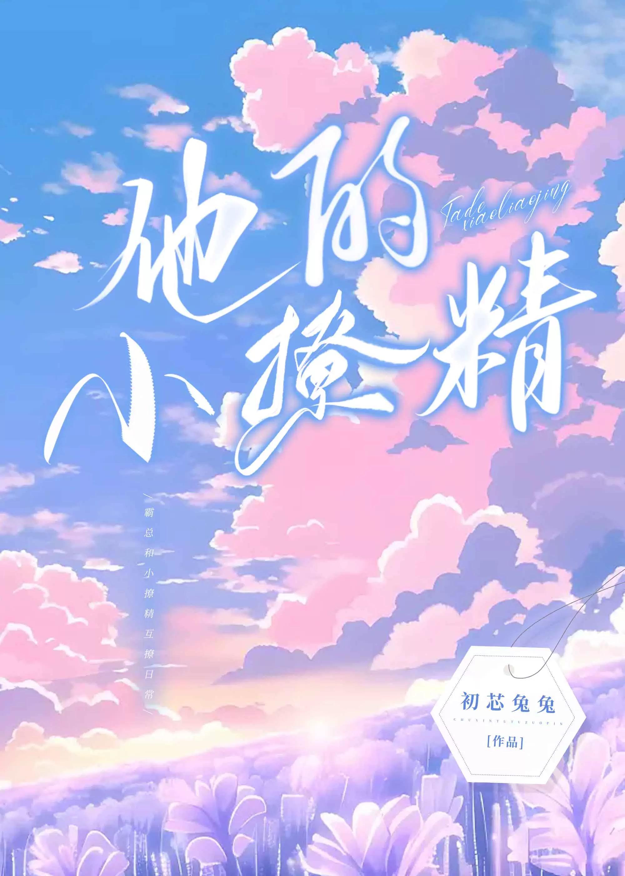 他的小撩精封面