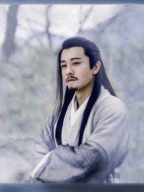 莲心 （坐忘峰杨逍）封面