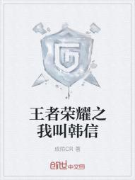 王者荣耀之我叫韩信封面