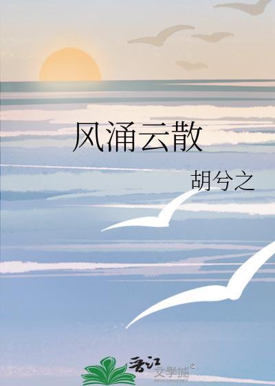 风涌云散封面