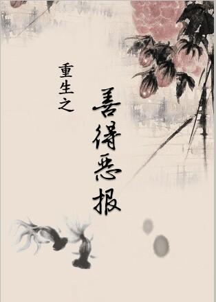 重生之善德恶报封面