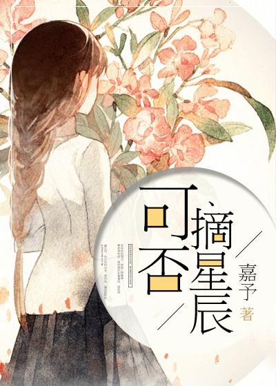 可否摘星辰封面