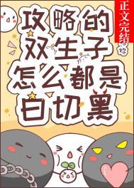 攻略的双生子怎么都是白切黑封面