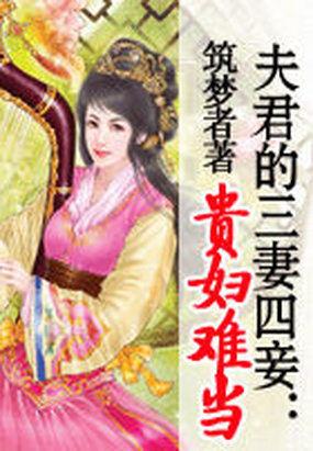 夫君的三妻四妾:贵妇难当封面