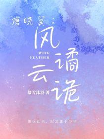 唐晓翼：风谲云诡封面