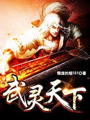 武灵天下封面