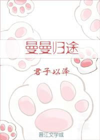 曼曼归途封面