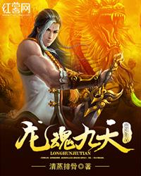 龙魂九天封面