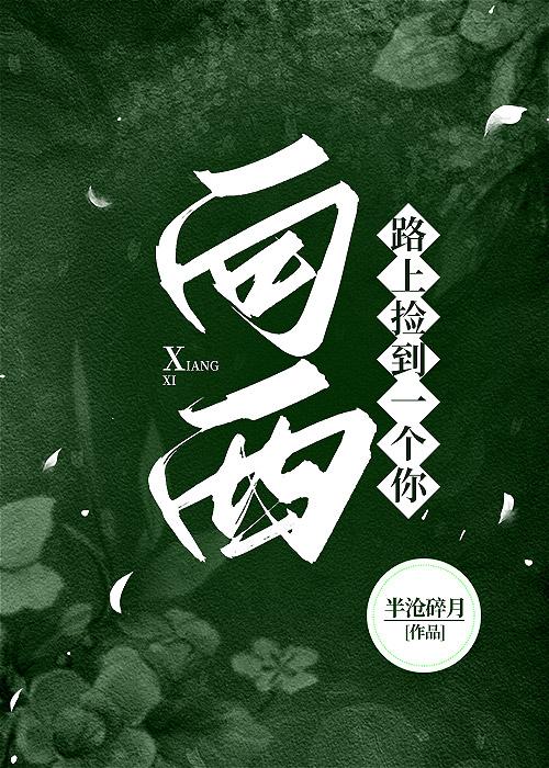 向西:路上捡到一个你封面