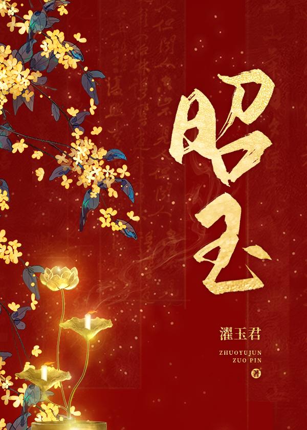 昭玉封面