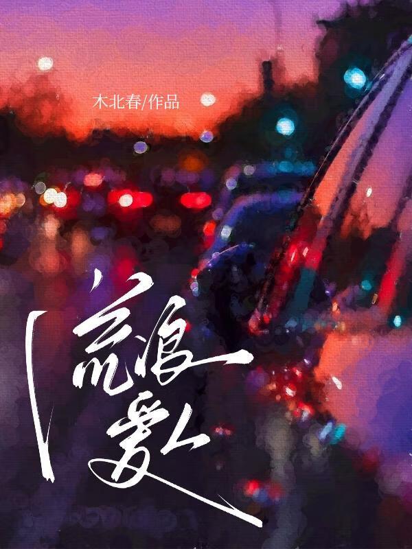 流浪爱人封面