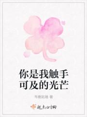 你是我触手可及的光芒封面