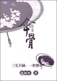 伞骨封面