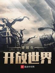 穿越在开放世界封面
