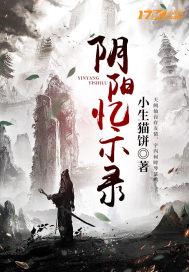 阴阳忆示录封面
