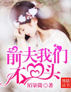 前夫，我们不回头封面