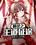 精灵之王道征途封面