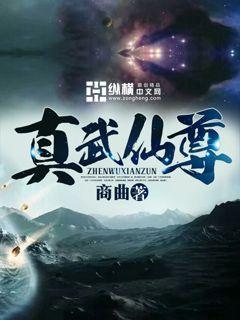 真武仙尊封面