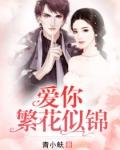 爱你繁花似锦封面
