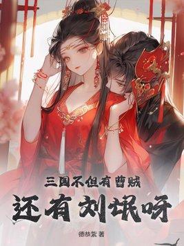 三国不但有曹贼,还有刘氓呀封面