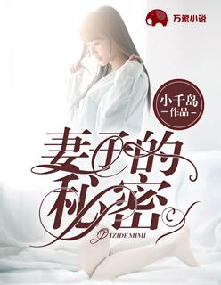 妻子的秘密封面