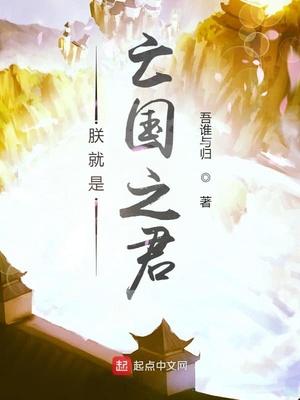 朕就是亡国之君朱祁钰朱祁镇封面